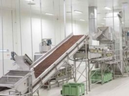 ¿Cómo reducir al mínimo la presencia de carozo en el producto final?