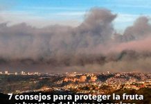 7 consejos para proteger la fruta y huertos del humo por incendios forestales