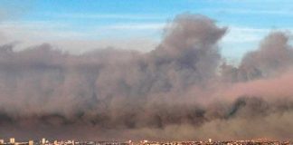 7 consejos para proteger la fruta y huertos del humo por incendios forestales