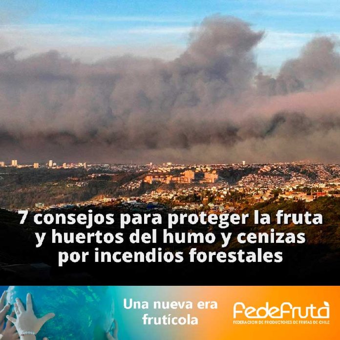 7 consejos para proteger la fruta y huertos del humo por incendios forestales