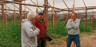 Agricultura Regenerativa: Transformando la Agricultura Tradicional en Chile. Avanza Consultorías y Terragénesis