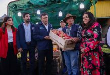 Agricultura familiar logró récord de ventas al Programa de Alimentación Escolar de Junaeb en 2023