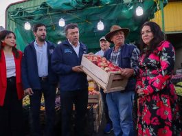 Agricultura familiar logró récord de ventas al Programa de Alimentación Escolar de Junaeb en 2023