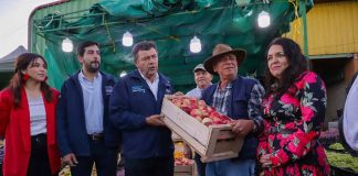 Agricultura familiar logró récord de ventas al Programa de Alimentación Escolar de Junaeb en 2023