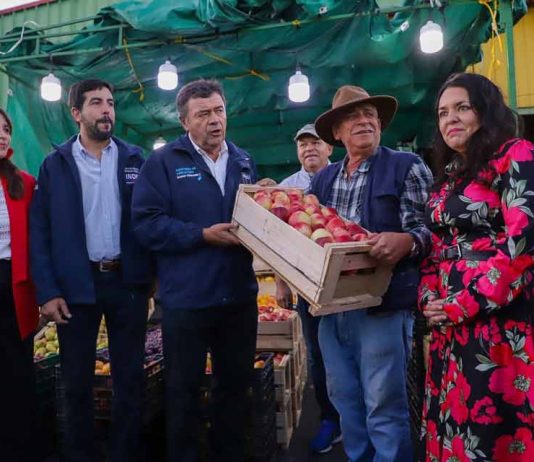 Agricultura familiar logró récord de ventas al Programa de Alimentación Escolar de Junaeb en 2023