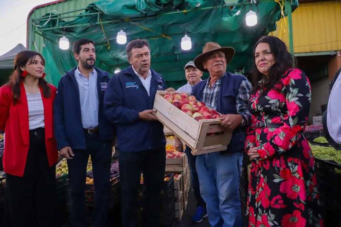 Agricultura familiar logró récord de ventas al Programa de Alimentación Escolar de Junaeb en 2023