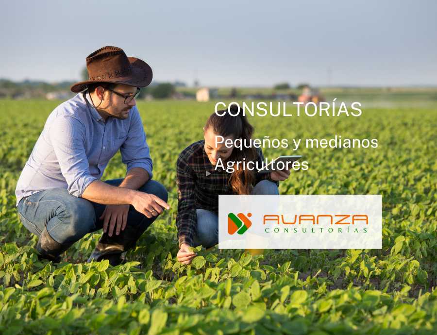 CONSULTORÍA AGRÍCOLA Pequeños y medianos Agricultores