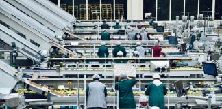 Claves de la logística para una producción frutícola con calidad, gestión y trazabilidad