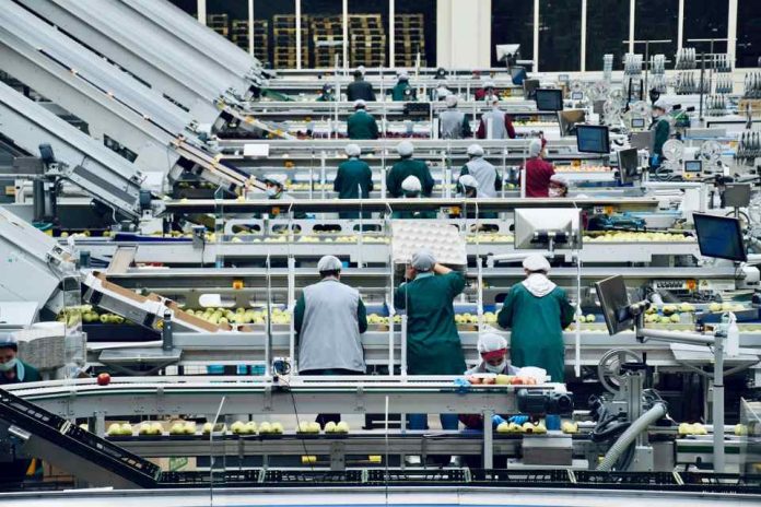 Claves de la logística para una producción frutícola con calidad, gestión y trazabilidad