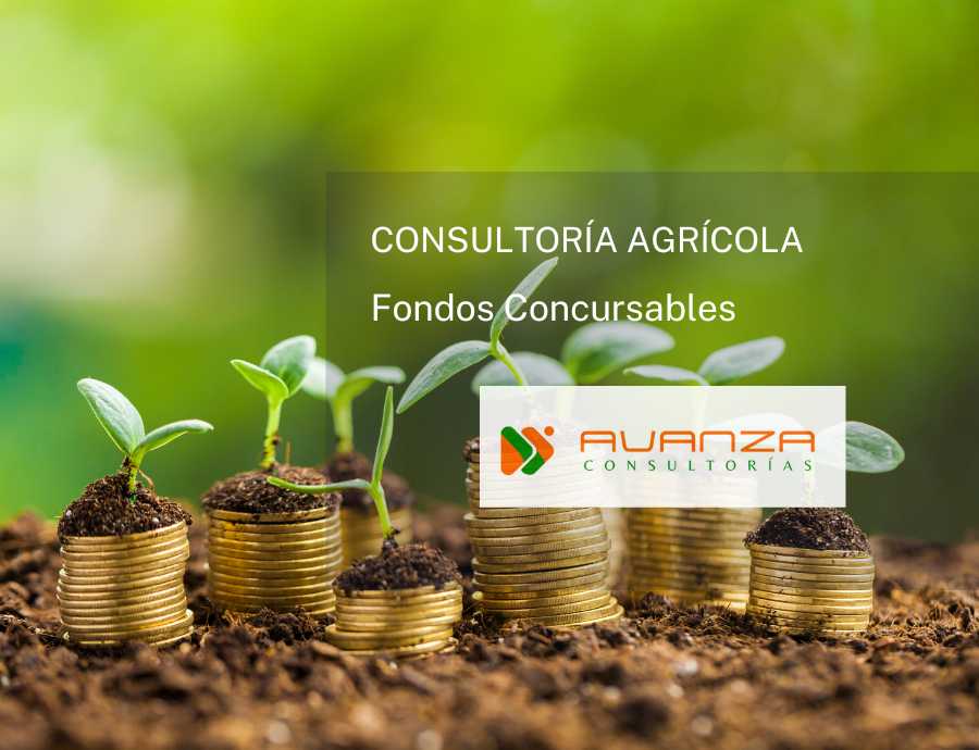 Consultoría AGRÍCOLA Fondos Concursables