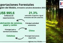 Exportaciones forestales de la Región del Biobío aumentaron 21,3% en el trimestre octubre-diciembre de 2023