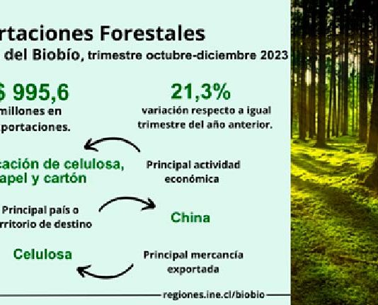 Exportaciones forestales de la Región del Biobío aumentaron 21,3% en el trimestre octubre-diciembre de 2023