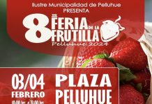 8va Feria de la Frutilla Pelluhue 2024