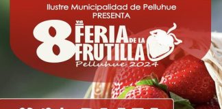 8va Feria de la Frutilla Pelluhue 2024