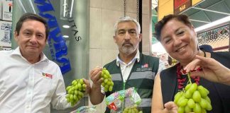 Gracias al SAG, Chile se consolida como líder en agroexportaciones a México