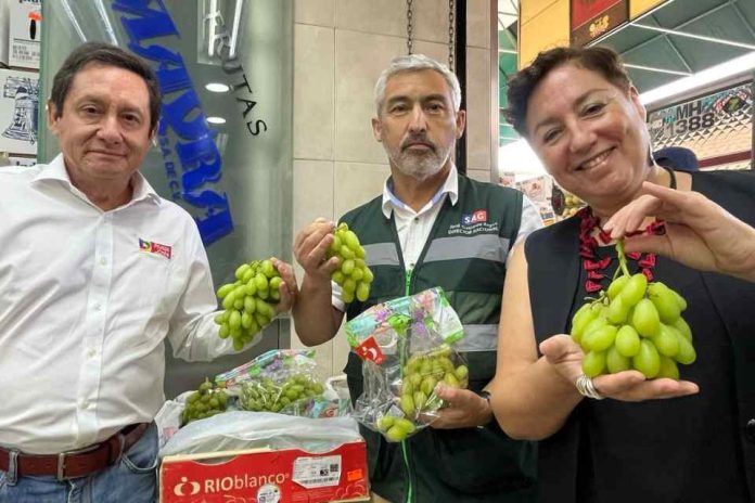 Gracias al SAG, Chile se consolida como líder en agroexportaciones a México