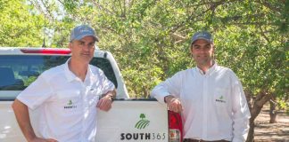 South365 se consolida como un actor relevante en la industria de la ciruela deshidratada chilena