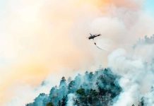 Investigadores chilenos lideran proyecto internacional para la prevención de incendios forestales