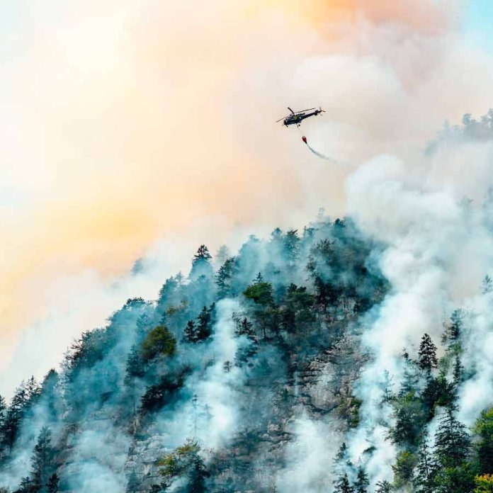 Investigadores chilenos lideran proyecto internacional para la prevención de incendios forestales