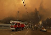 Incendios en la Quinta Región: Un Llamado Urgente a la Prevención, y la detección temprana