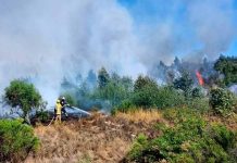 Incendios forestales: Movistar Chile informa sobre beneficios a clientes en comunas afectadas y reposición de servicios afectados