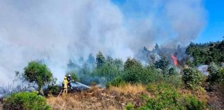 Incendios forestales: Movistar Chile informa sobre beneficios a clientes en comunas afectadas y reposición de servicios afectados