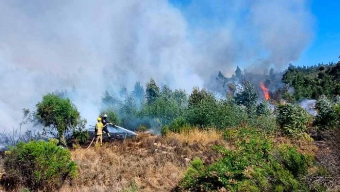 Incendios forestales: Movistar Chile informa sobre beneficios a clientes en comunas afectadas y reposición de servicios afectados