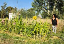 Investigadora de INIA implementó huerta agroecológica comunitaria utilizando residuos vegetales domiciliaros