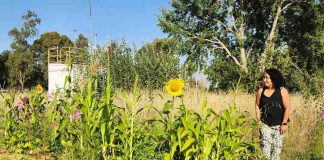 Investigadora de INIA implementó huerta agroecológica comunitaria utilizando residuos vegetales domiciliaros