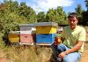 Joven rural de Mulchén se impone como guardián de las abejas con emprendimiento apícola