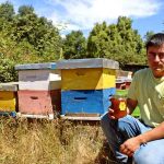 Joven rural de Mulchén se impone como guardián de las abejas con emprendimiento apícola