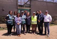 La mitad de las especies de fauna silvestre rescatadas en los incendios de Valparaíso ha fallecido debido a la gravedad de sus lesiones