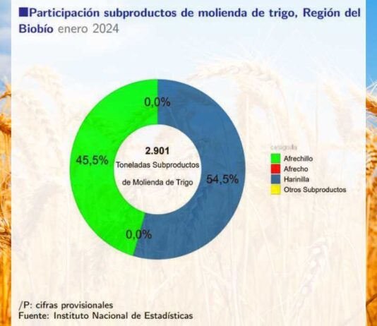 Molienda de trigo de la Región del Biobío aumentó 19,2% en doce meses
