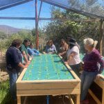 PTI Hortícola e INIA trabajan por la sostenibilidad en la horticultura local