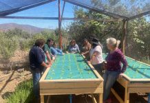 PTI Hortícola e INIA trabajan por la sostenibilidad en la horticultura local