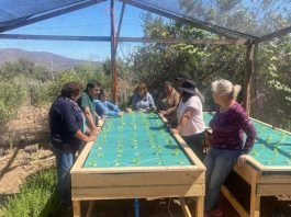 PTI Hortícola e INIA trabajan por la sostenibilidad en la horticultura local