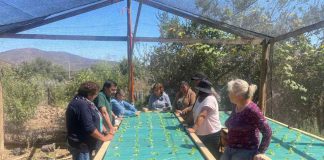 PTI Hortícola e INIA trabajan por la sostenibilidad en la horticultura local