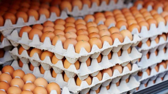 Producción de huevos de consumo presentó un crecimiento interanual de 6,7% en diciembre de 2023
