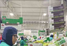 ProducePay levanta USD$38M para impulsar agroexportaciones y promover la estabilidad financiera de agricultores