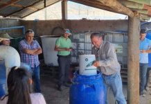 Productores de fruta se capacitan en técnicas sustentables que les permiten ahorrar costos en el campo