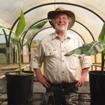Australia aprueba la venta del primer plátano transgénico del mundo resistente a devastadora enfermedad