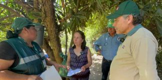 SAG Biobío aplica pauta de bioseguridad a traspatios de aves de corral