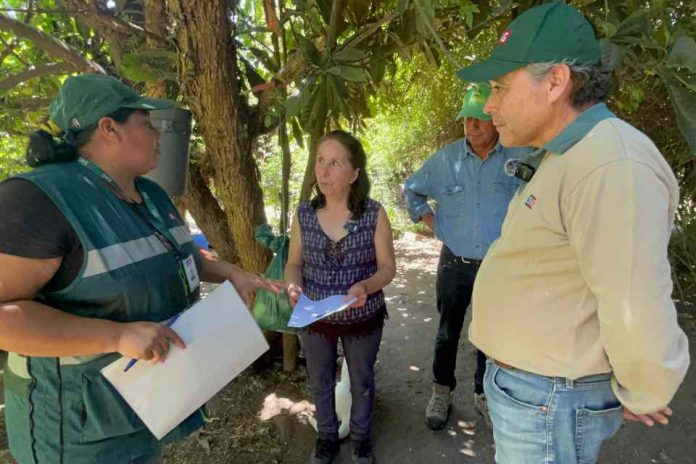 SAG Biobío aplica pauta de bioseguridad a traspatios de aves de corral