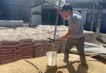 SAG Biobío fiscaliza poderes compradores de avena y trigo