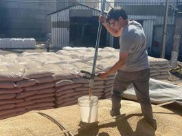 SAG Biobío fiscaliza poderes compradores de avena y trigo