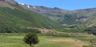 SAG supervisa uso de campos de pastoreo en Alto Biobío