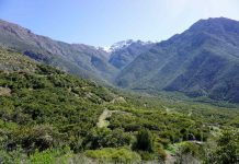 The Nature Conservancy y RRG Capital Management se unen para proteger 775 hectáreas de ecosistema mediterráneo en el Valle de Aconcagua 