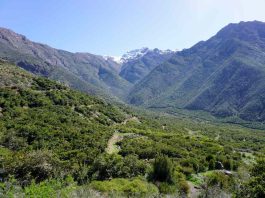 The Nature Conservancy y RRG Capital Management se unen para proteger 775 hectáreas de ecosistema mediterráneo en el Valle de Aconcagua 