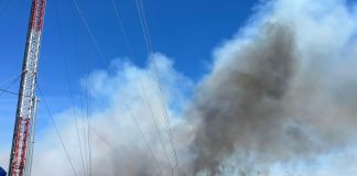 Alcalde de Galvarino, Marcos Hernández Rojas, realiza un llamado a recibir apoyo ante Incendios Forestales en su comuna