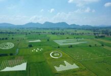Agricultura e IA: la tecnología que Huawei impulsa para América Latina y el Caribe 
